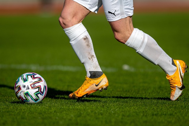 在與世界其 在與世界其